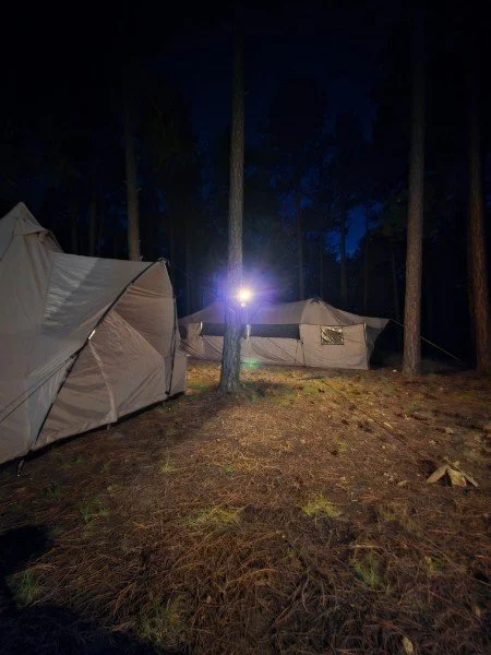 Nighttime camping scene with multiple tents set up among tall trees, illuminated by a bright light.