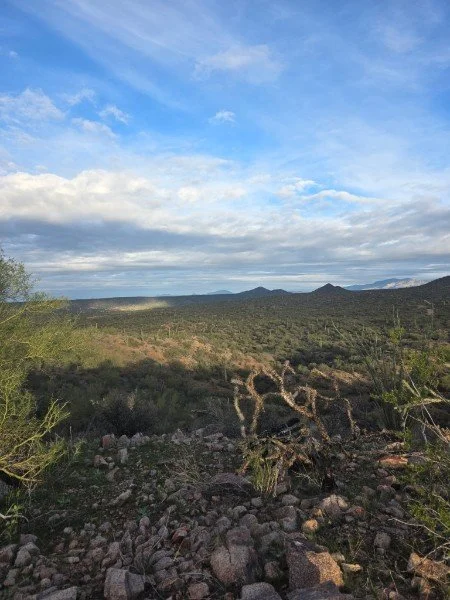 Desert landscape with sparse vegetation, rocks, and cacti, under a partly cloudy sky with blue and white clouds.