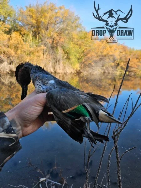 Person holding a freshly hunted duck near a calm river with fall-colored trees in the background, and a logo with a deer skull and antlers that says 'Drop Draw Co.' at the top right corner.