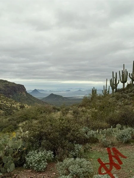 Desert landscape with cacti and shrubbery under a cloudy sky, distant mountains in the background.