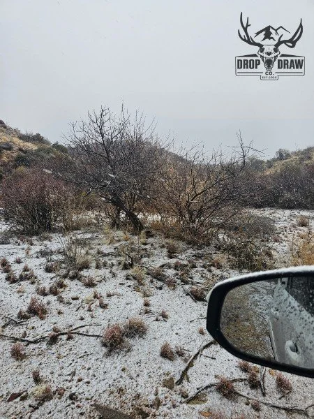 View of a sparse, snowy landscape with dry bushes and a partly leafless tree, seen from inside a vehicle with a side mirror, and a logo of a deer skull with antlers and the text 'Drop Draw' in the upper right corner.
