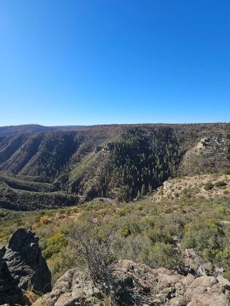 Scenic view of a canyon with green trees and rocky terrain under a clear blue sky.