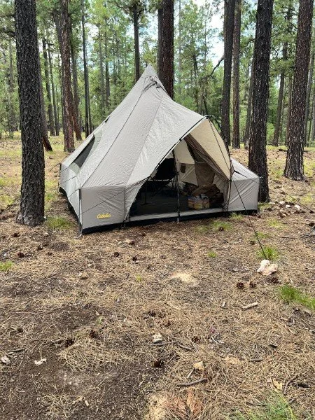 A tent set up in a wooded forest area, with trees and ground visible.