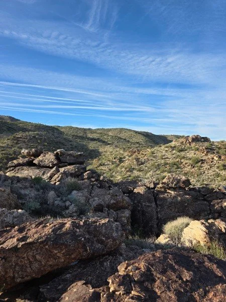 Desert landscape with large rocks, cacti, and green bushes under a blue sky with wispy clouds.