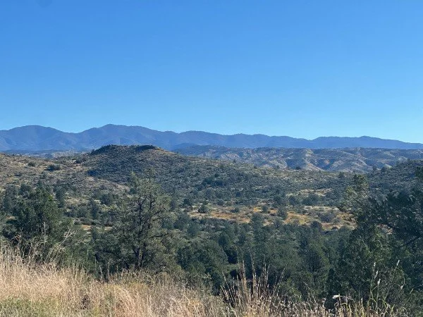 A mountainous landscape with rolling hills, sparse trees, and a clear blue sky.