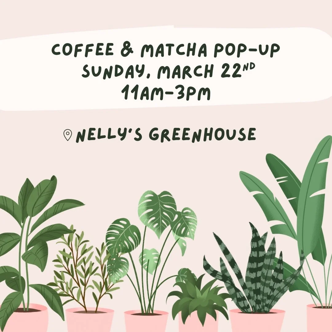 We&rsquo;re back with one more coffee &amp; matcha pop-up this Sunday, March 22! 11am - 3pm 🪴☕️

Thank you to everyone who came out this past weekend! 🫶