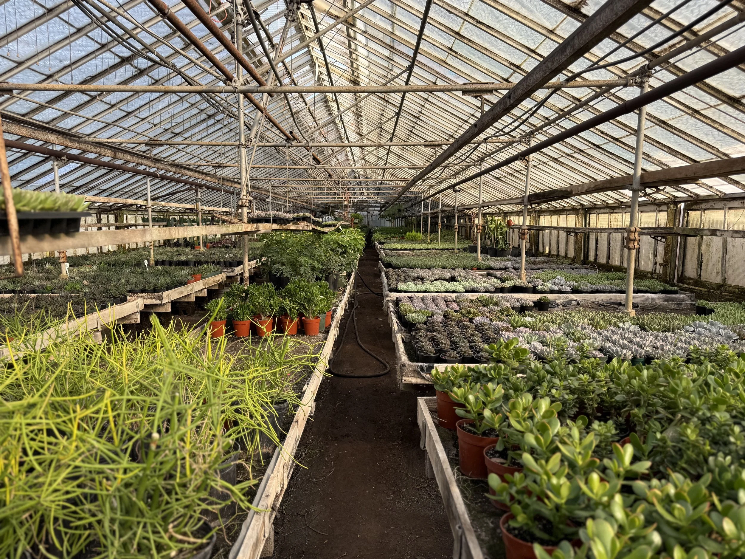 Greenhouse