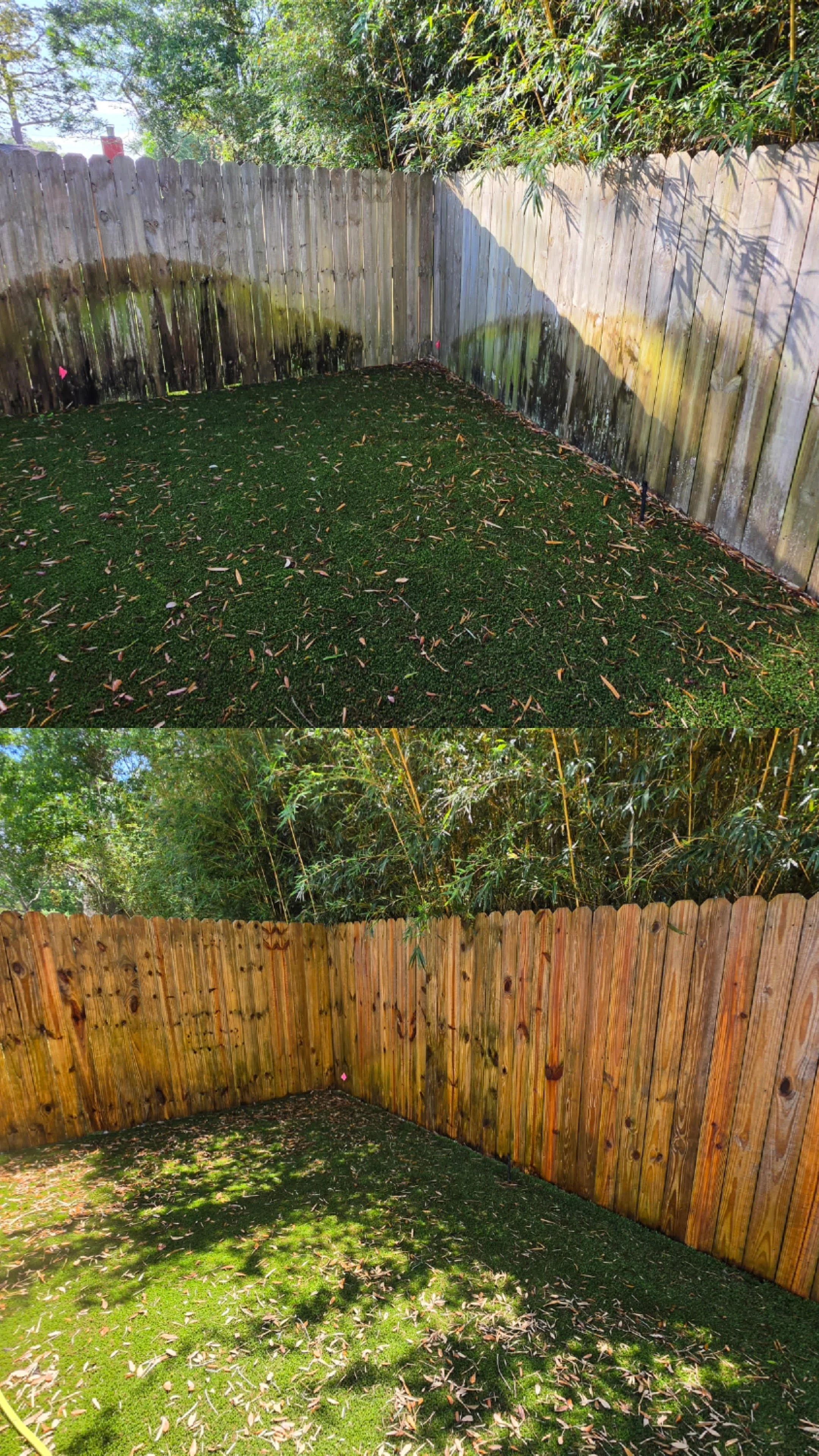 Fenced backyard with green grass and fallen leaves, wooden fence, and trees in the background.