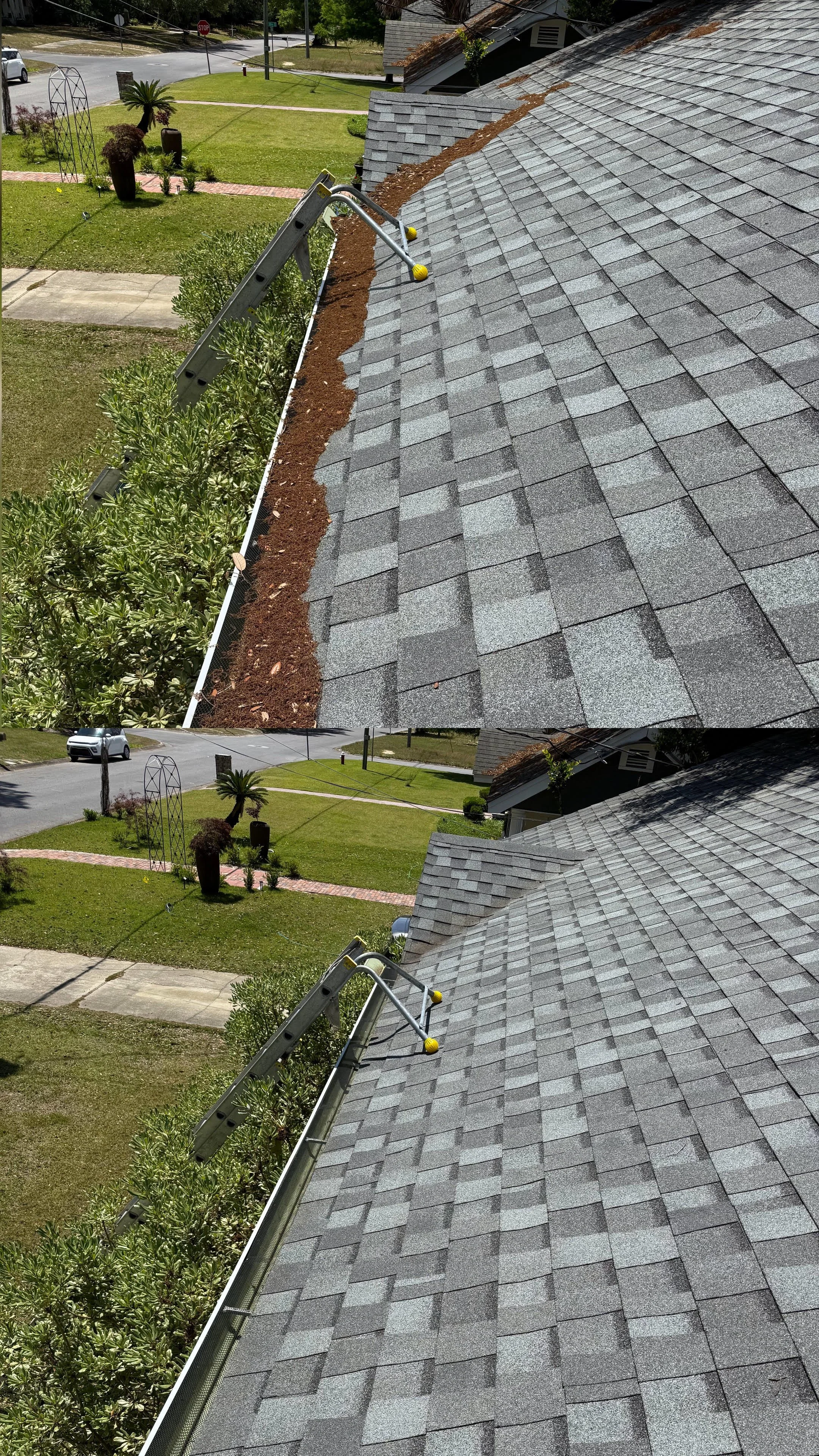 Side view of a residential roof with gray shingles, a ladder leaning against the gutter, and a garden with plants and trees in the front yard