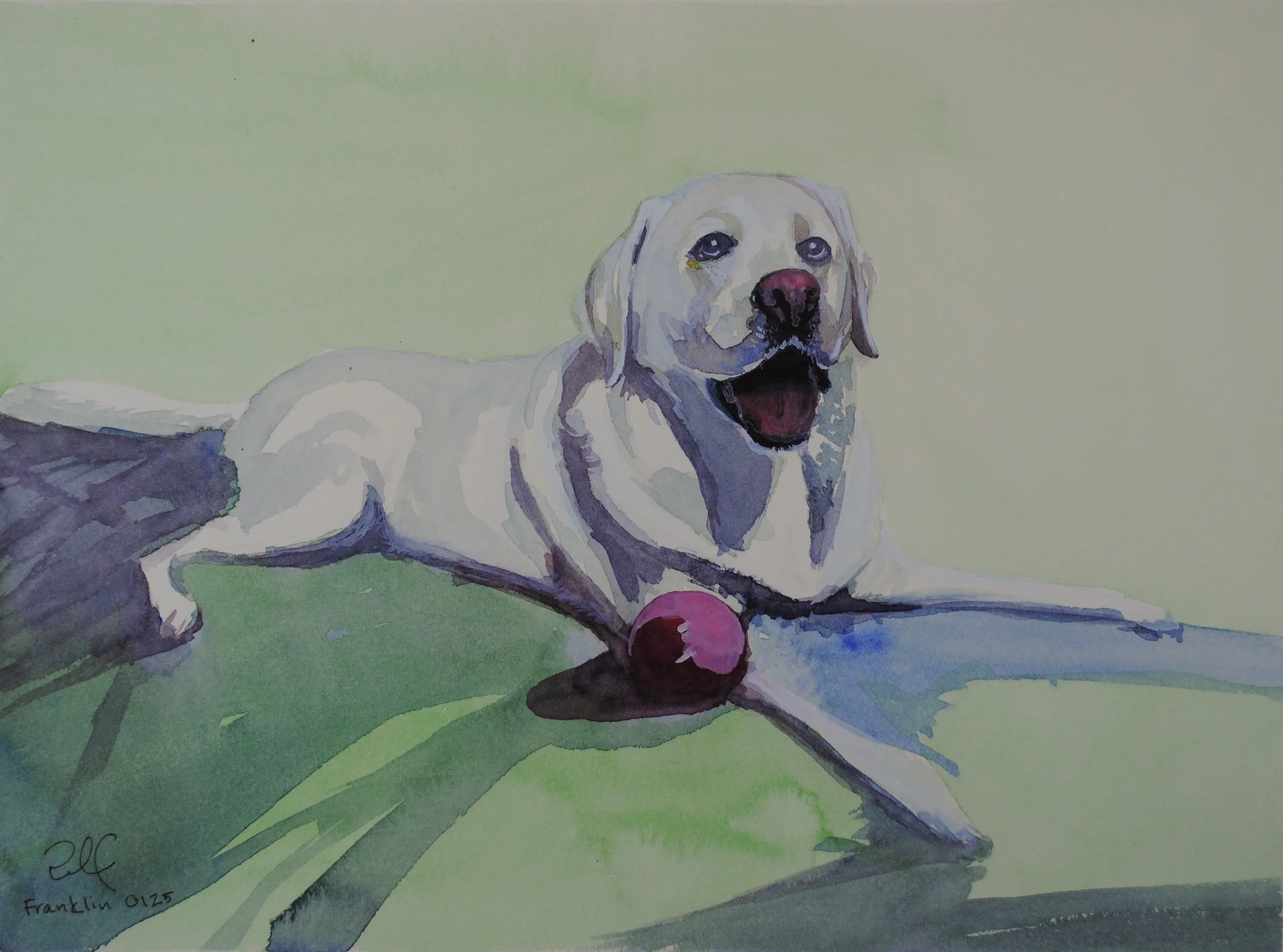 Watercolor painting of a yellow Labrador Retriever lying on green grass with a red ball in front of it, smiling with its tongue out and its eyes looking forward.