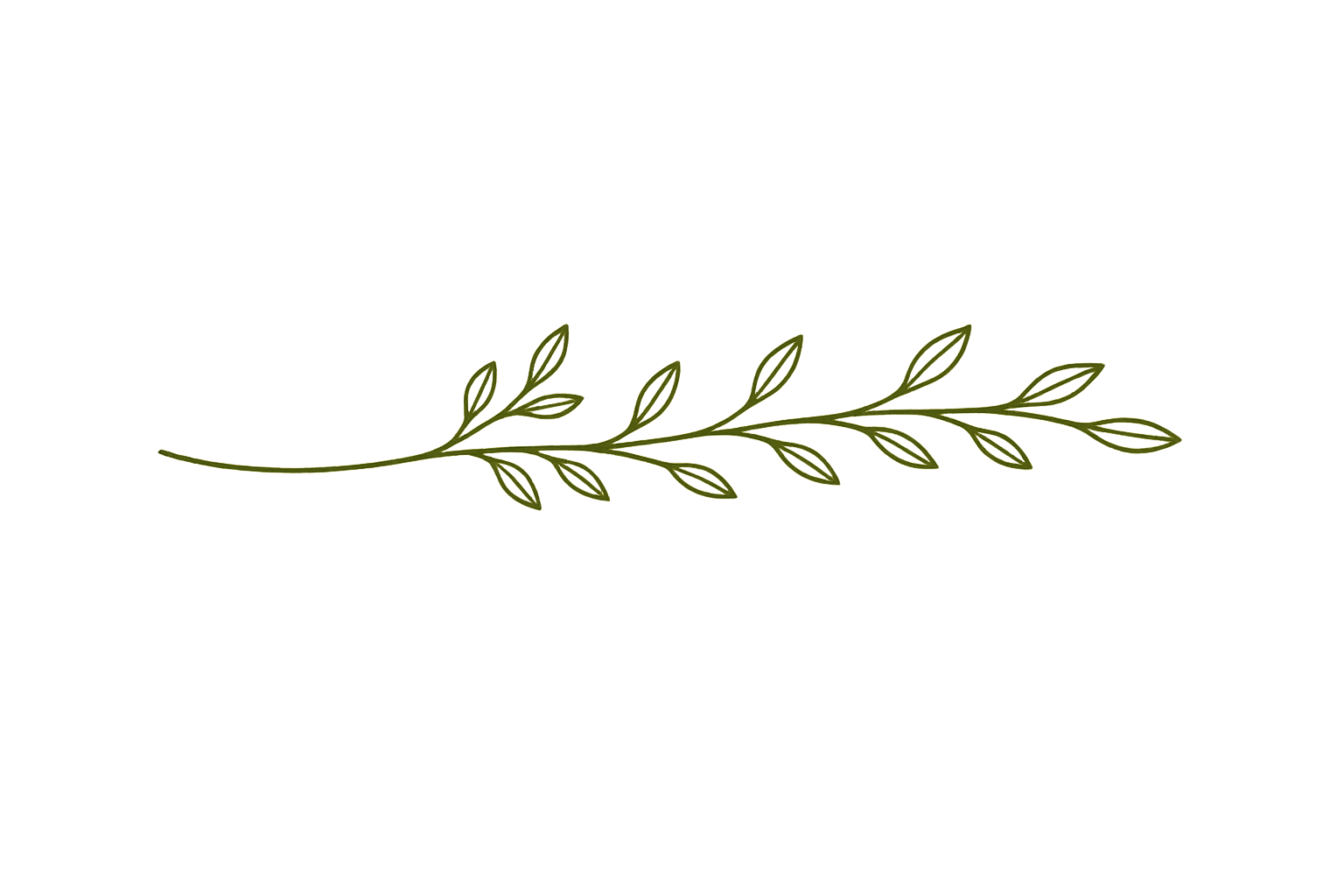 An illustration of a simple green leafy branch on a black background.