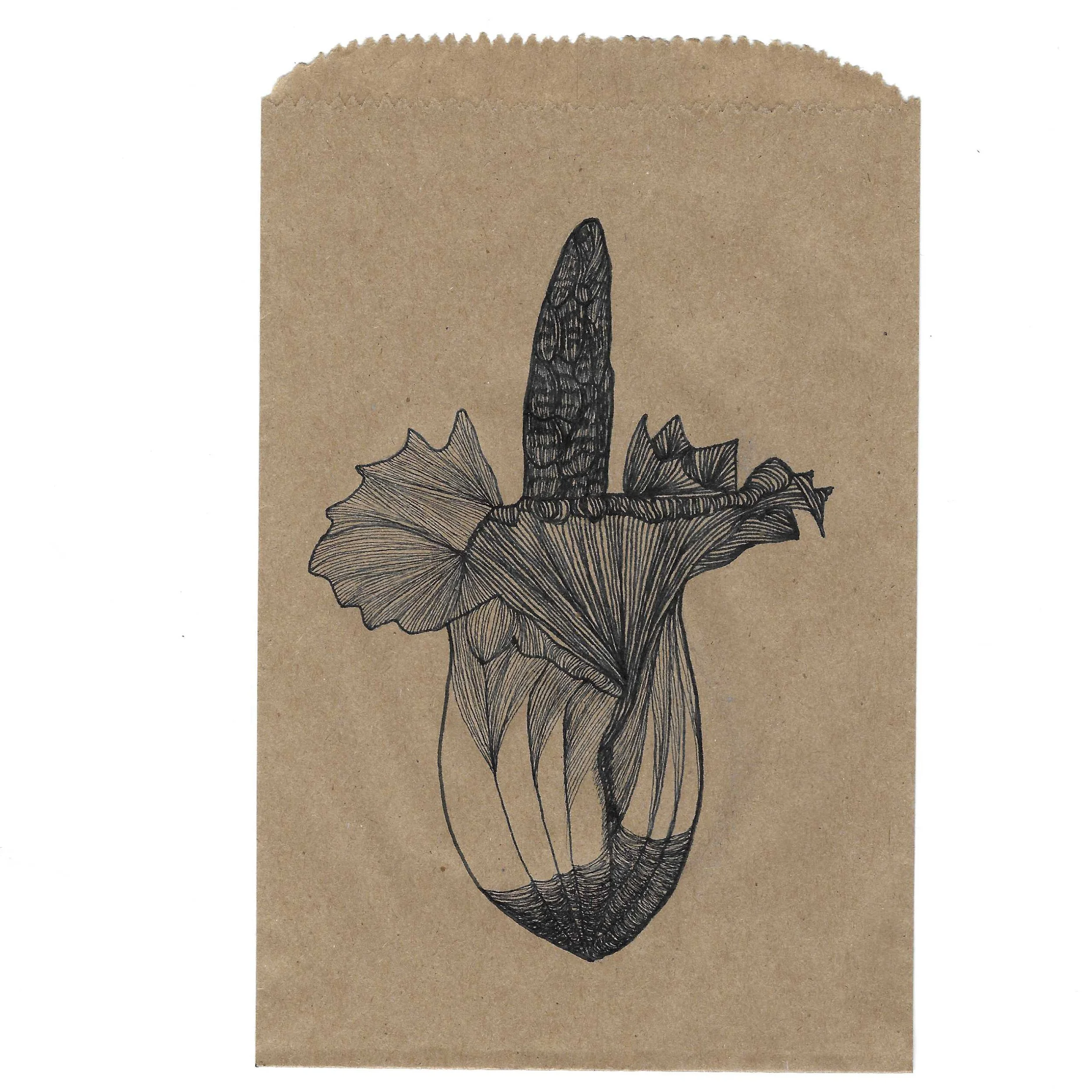 Amorphophallus_Titanium_IG.jpg