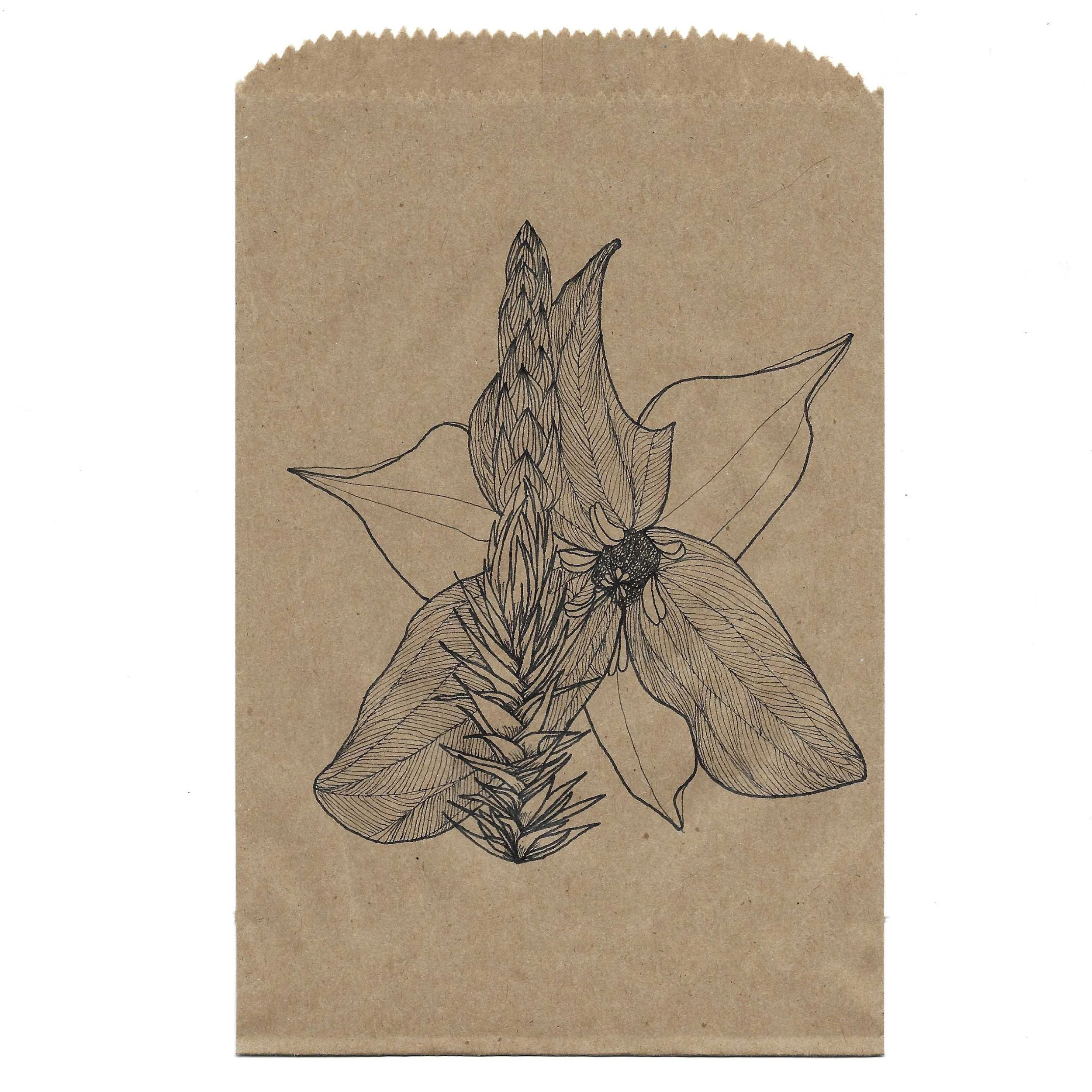 GroundPine_Trillium.jpg