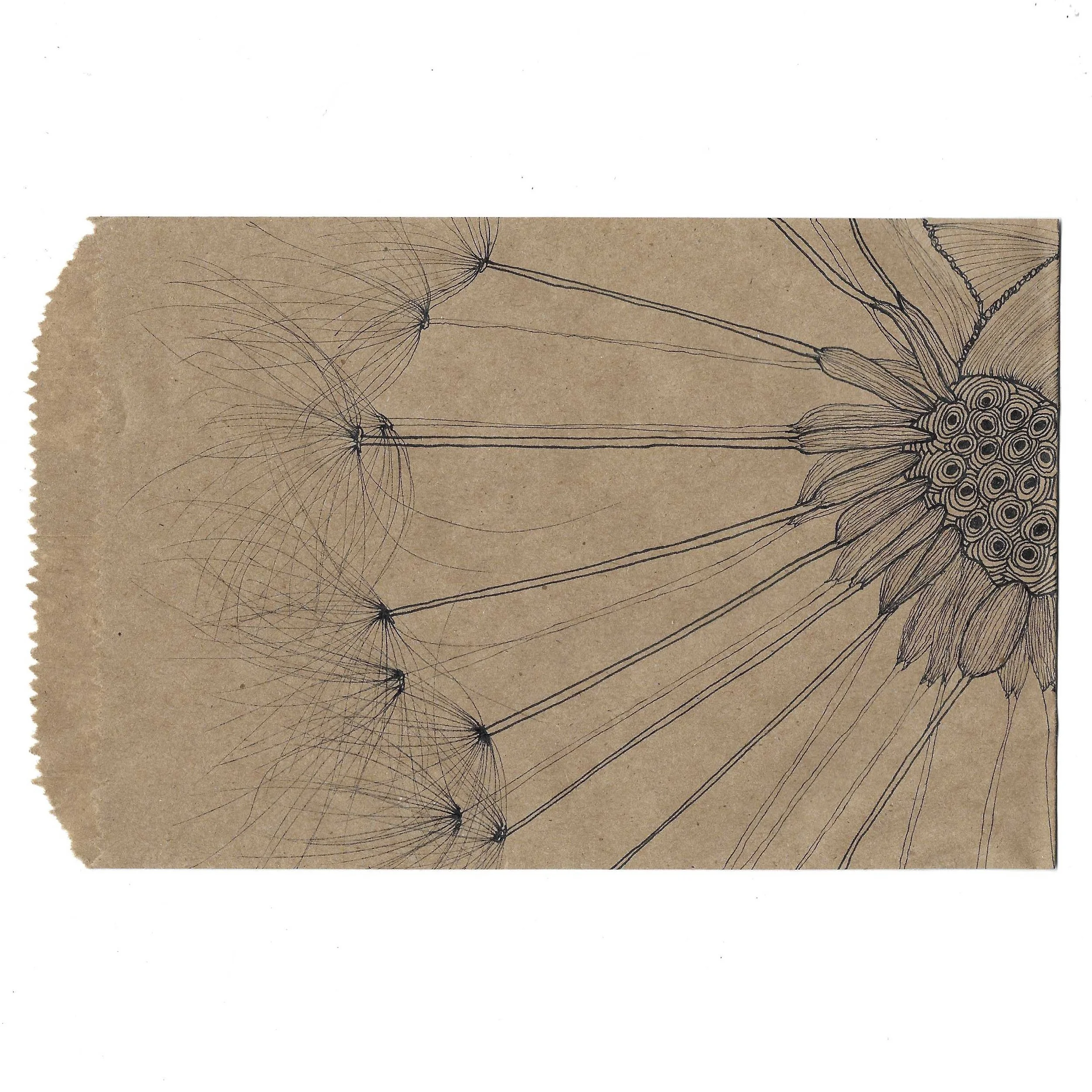 taraxacum.jpg