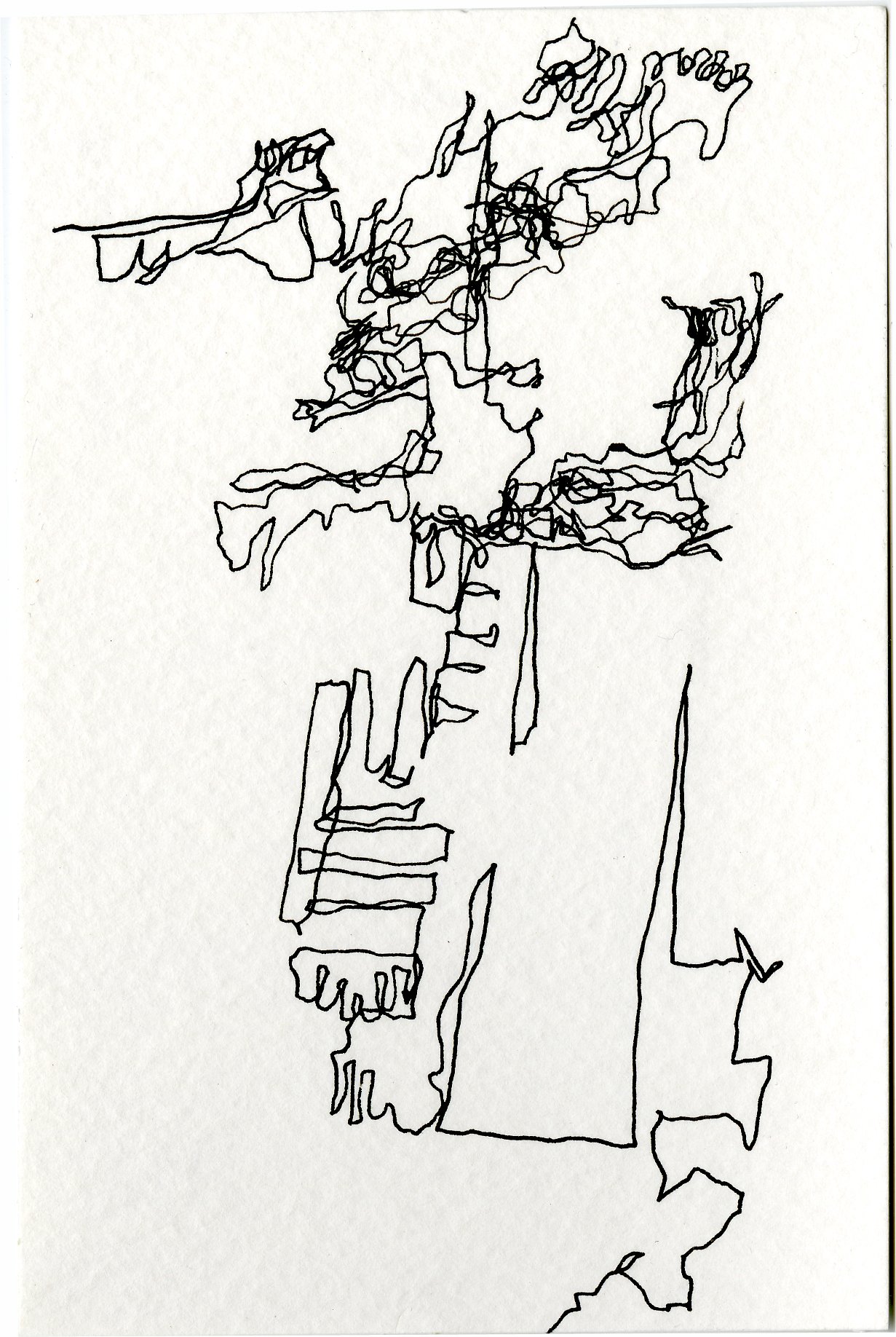 blindcontour2.jpg