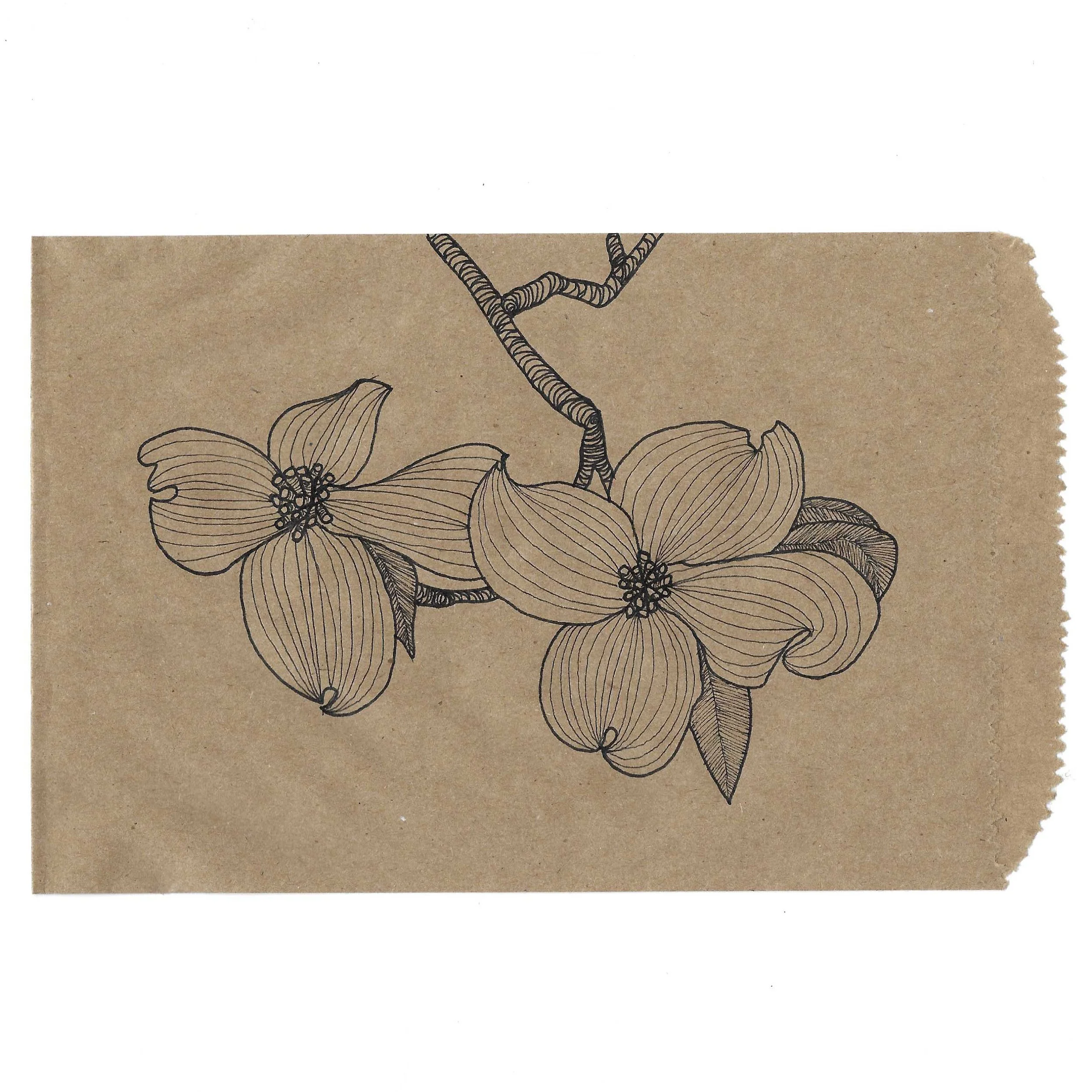 DogwoodFlowers.jpg