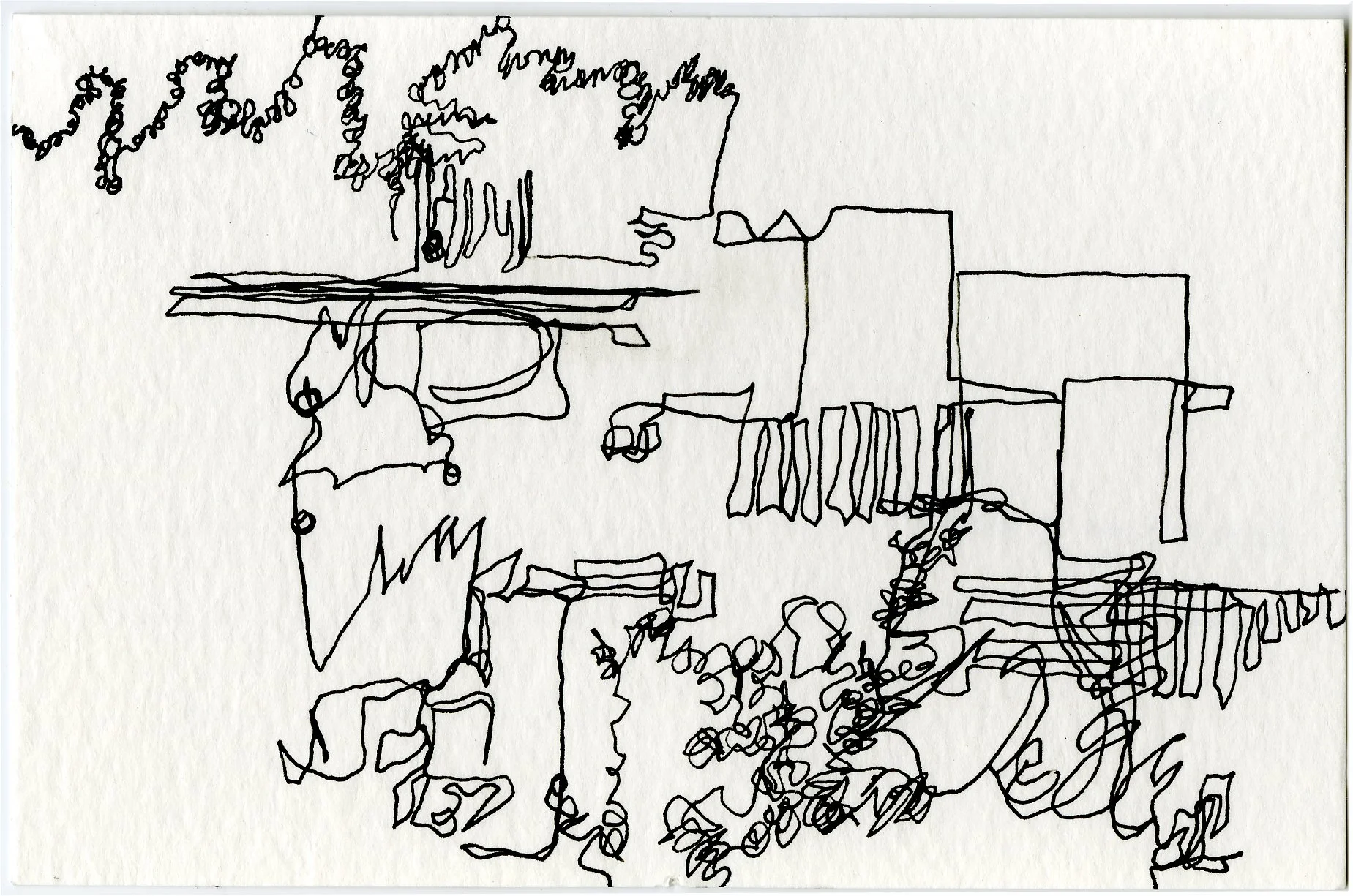blindcontour7.jpg