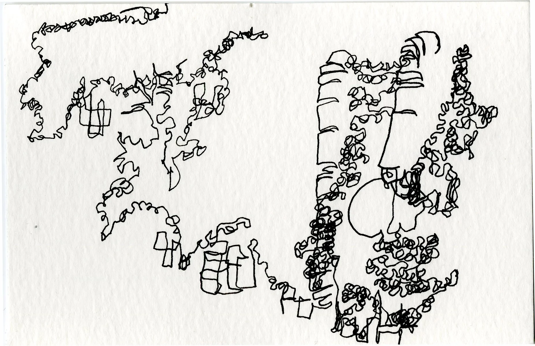blindcontour4.jpg