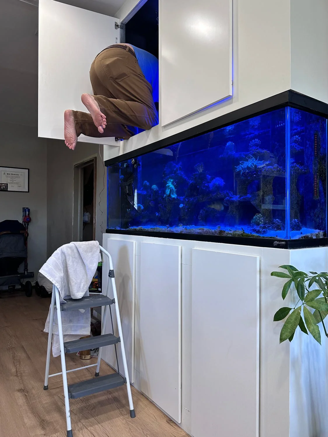 Maximum-Building---RENOVATIONS-19.jpg