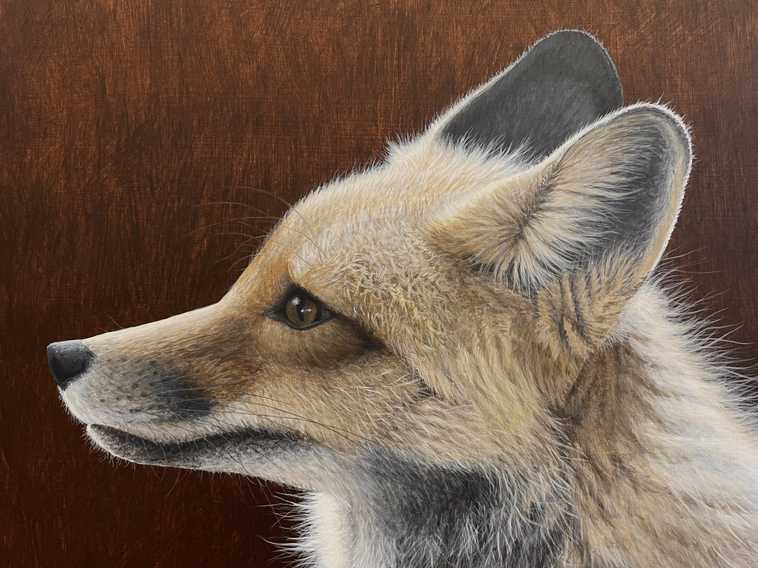 Redfox - Original painting in Acrylic