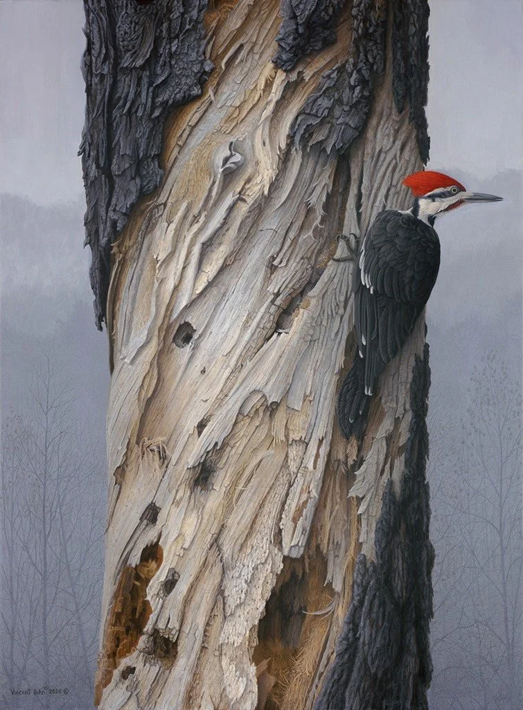 Pileated Woodpecker - Original Acrylic Painting