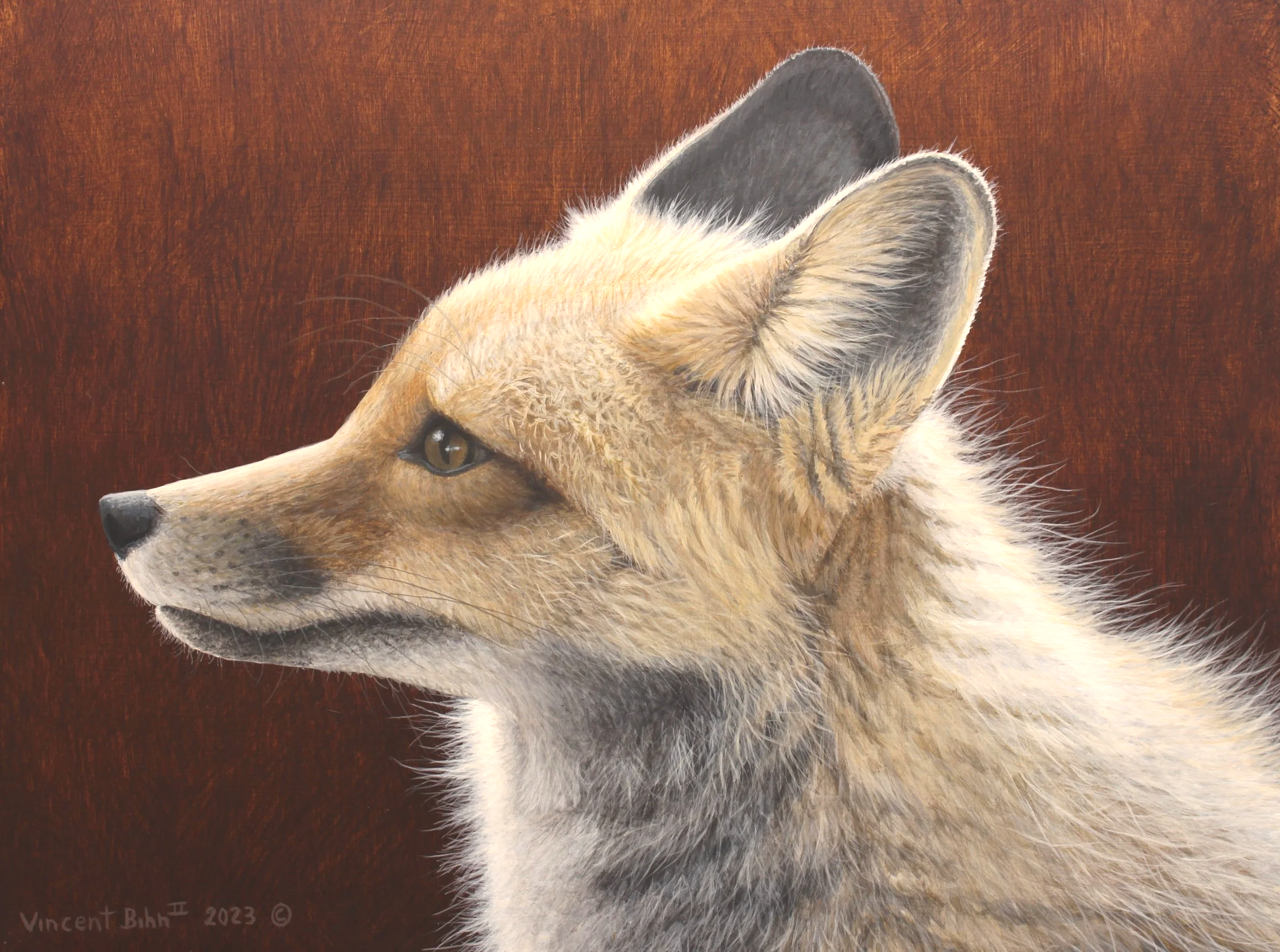 Red Fox   -   Original Acrylic Painting