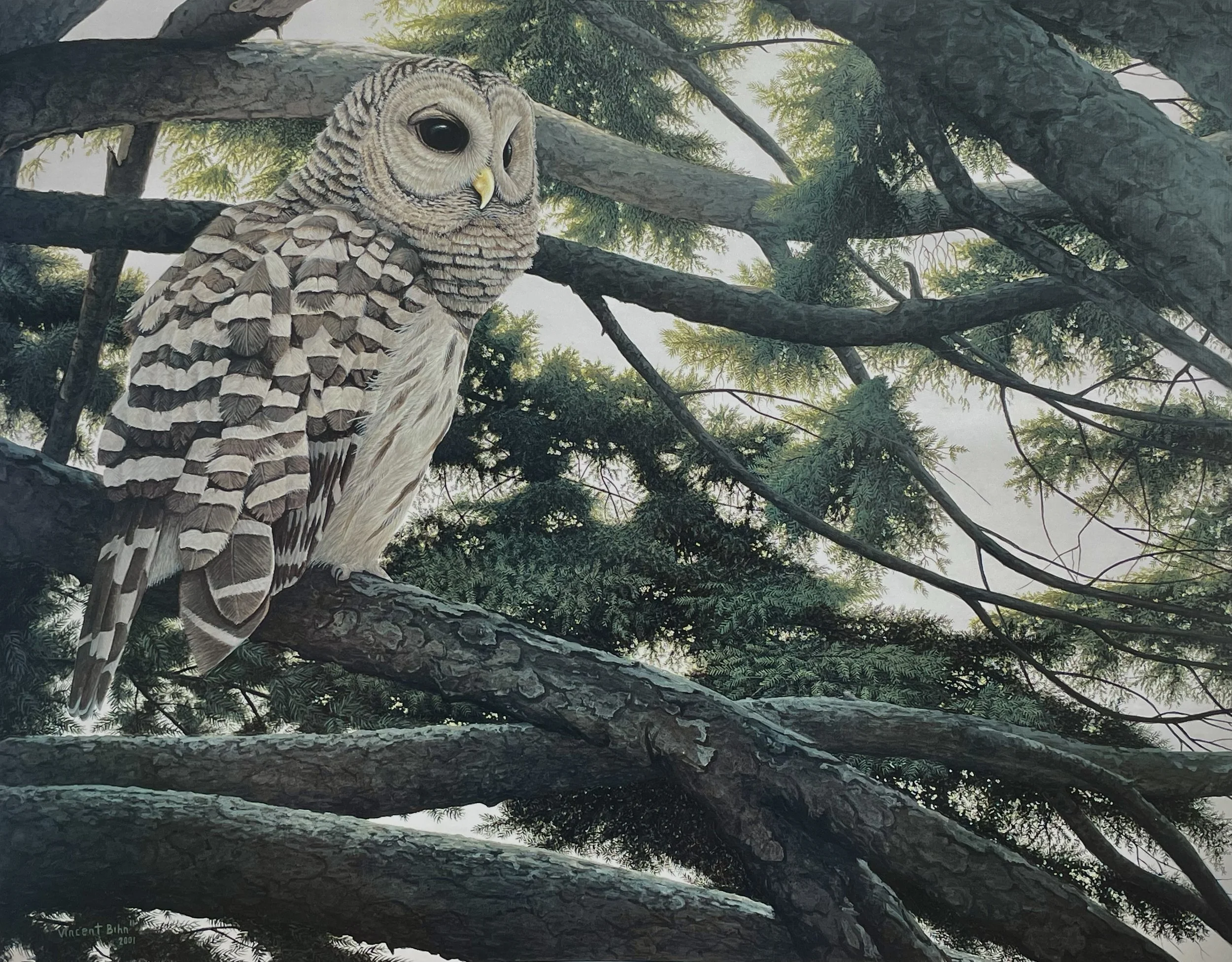 Hidden from the Day - Limited Edition Print