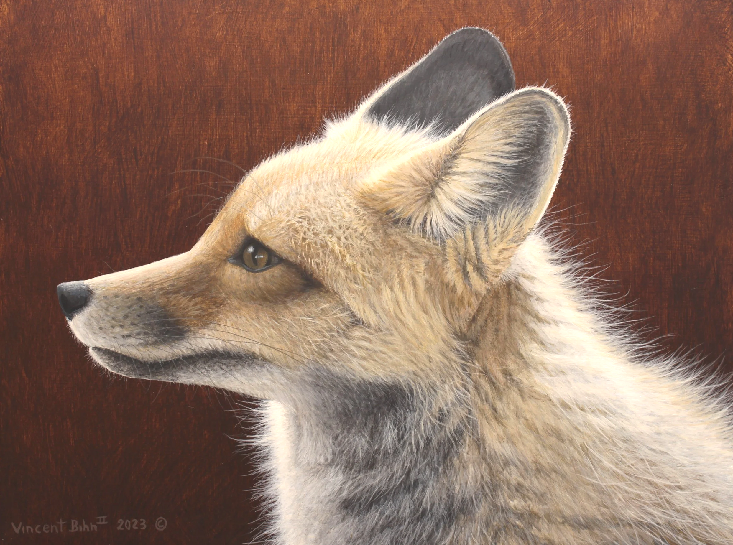 Red Fox   -   Original Acrylic Painting