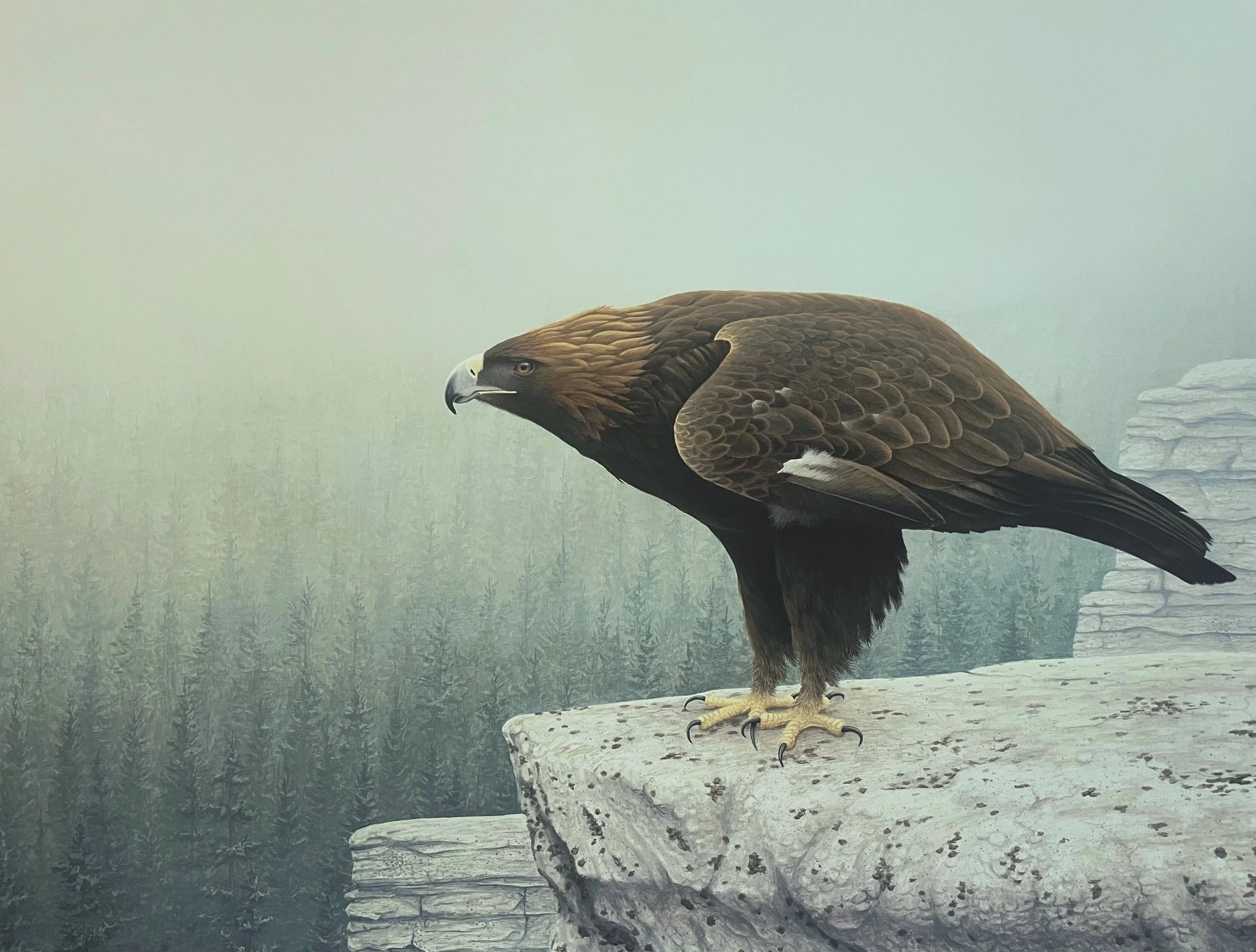 Golden Eagle.jpg