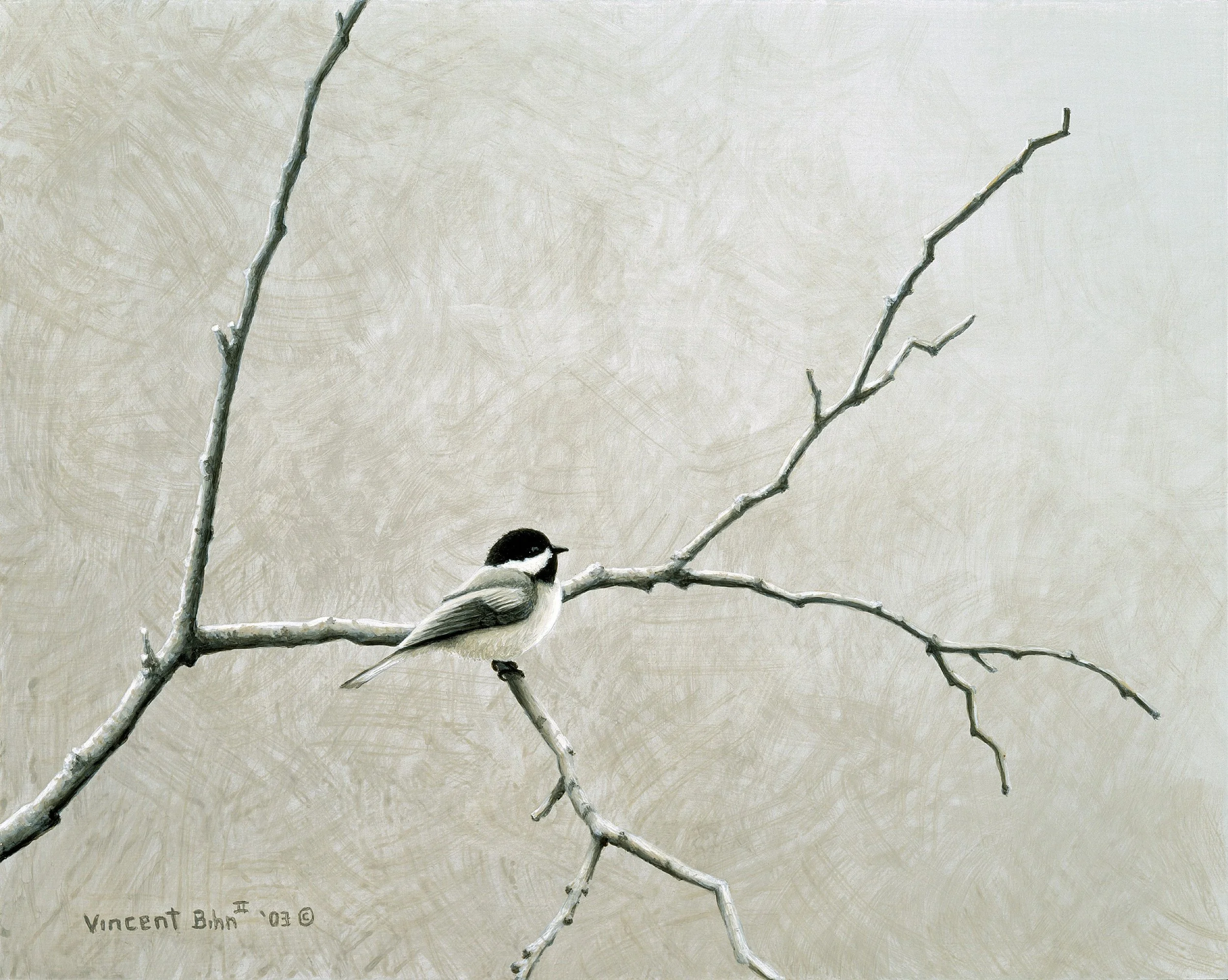 Black Capped Chickadee