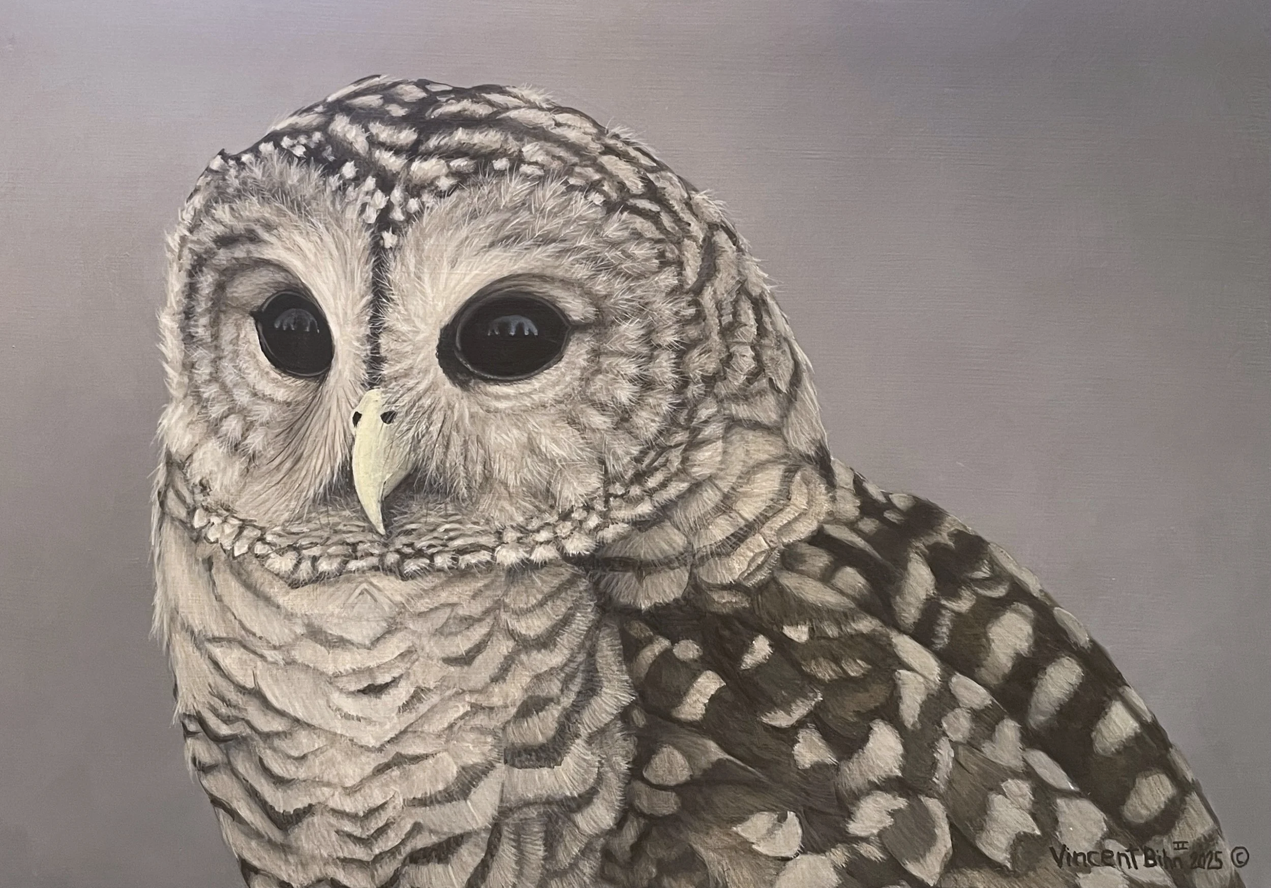 Owl1.png
