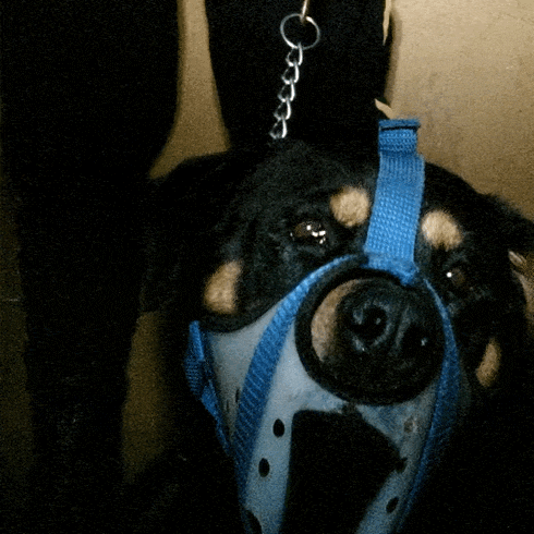 Sequence02-ezgif.com-loop-count.gif