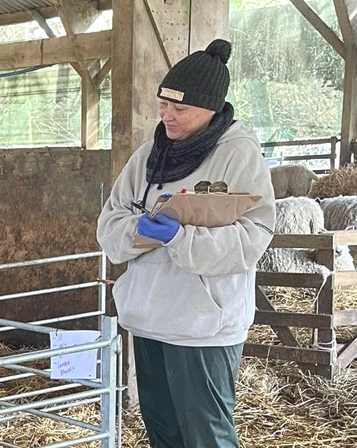 Nikki Morrison observes sheep and records research notes beside an indoor pen.