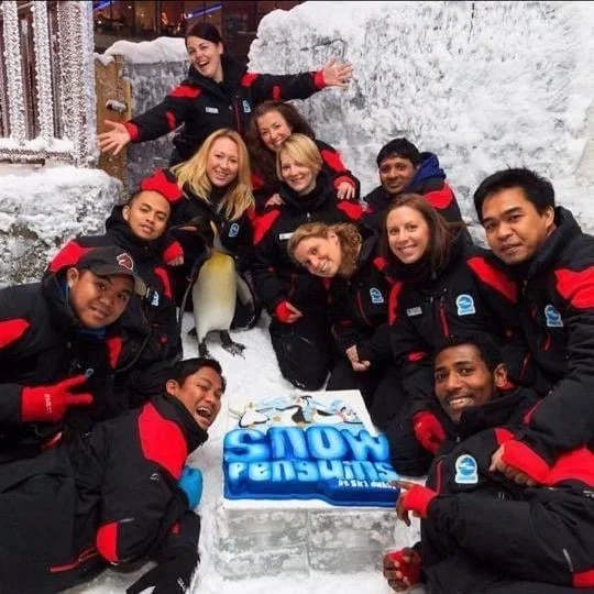 Members of the Ski Dubai Penguin Team gathered around a Snow Penguins anniversary cake.