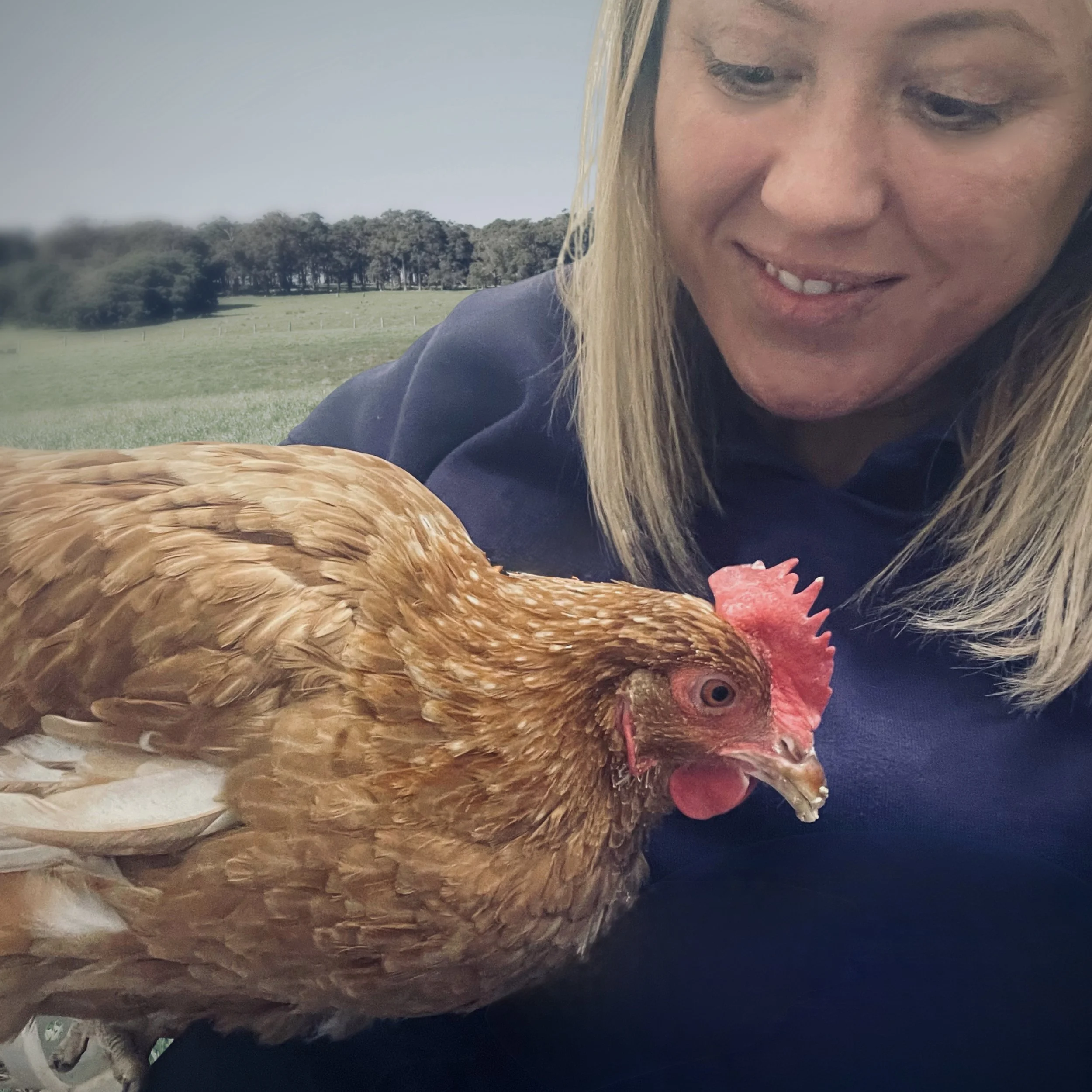 Nikki Morrison handling a chicken during practical animal-care work.