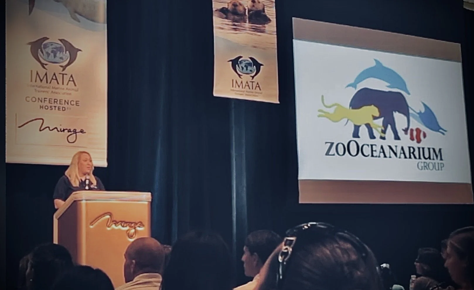 Nikki presenting on stage at IMATA 2013, Las Vegas