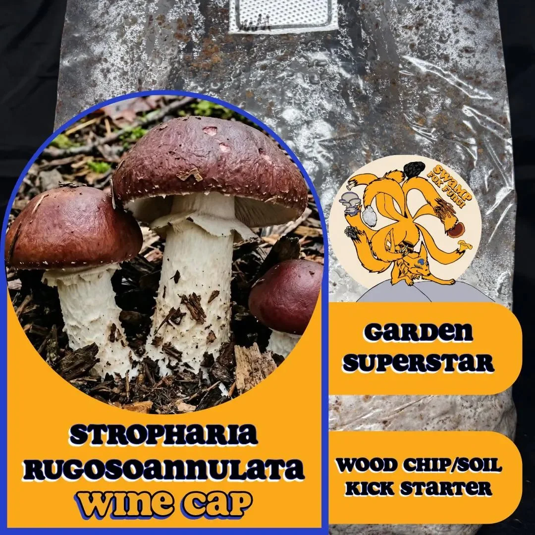 Wine Cap Mushroom Spawn (Hardwood; 5lb)