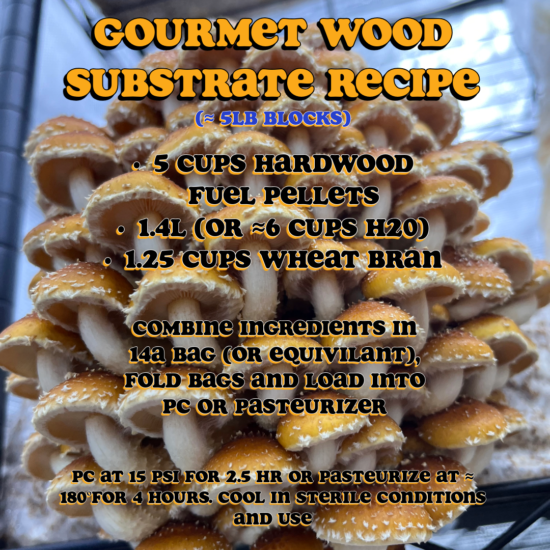 Wheat Bran +wood  SUBSTRATE RECIPE for Gourmet mushrooms