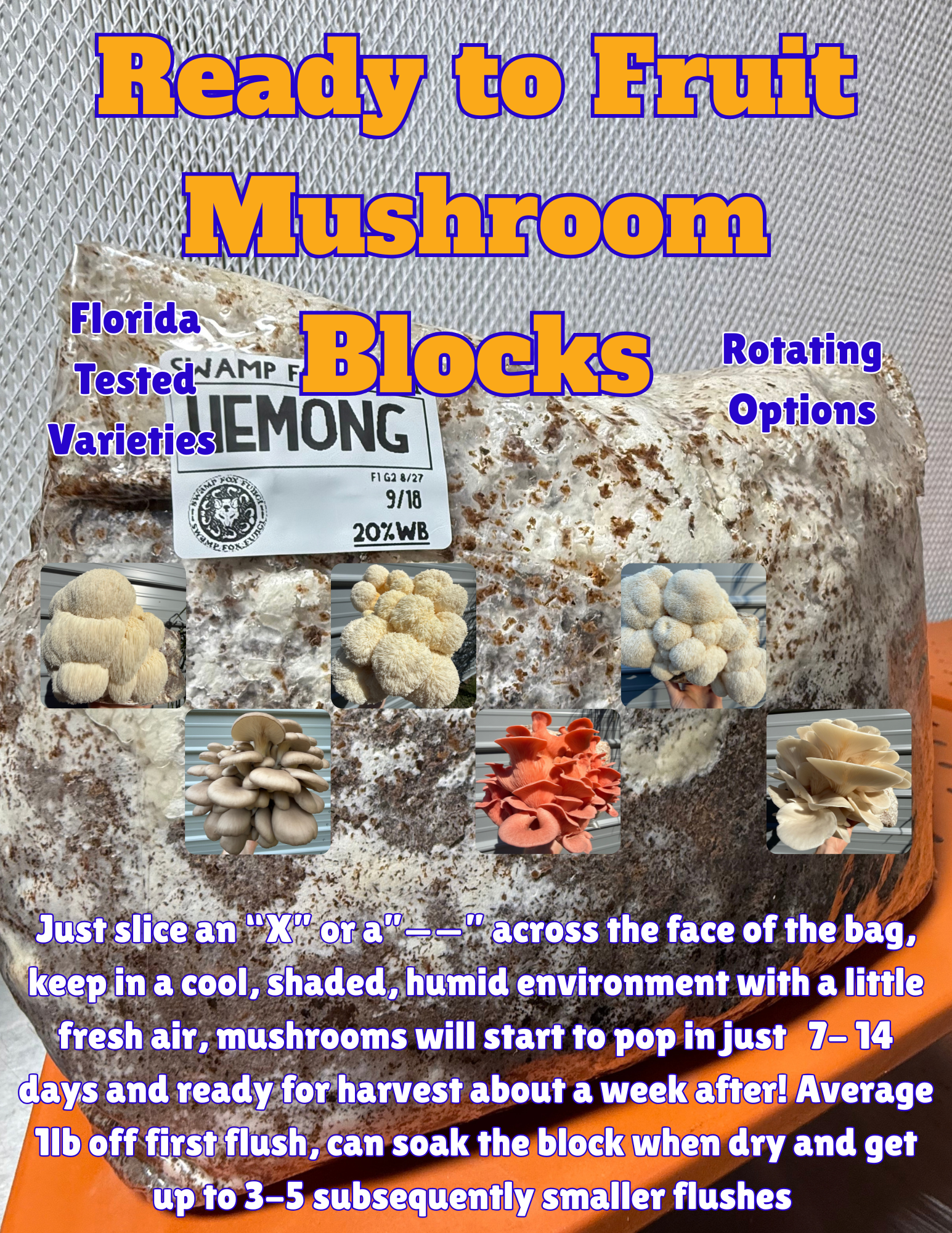 Ready to Fruit Mushroom Block (5lb Grow Block)