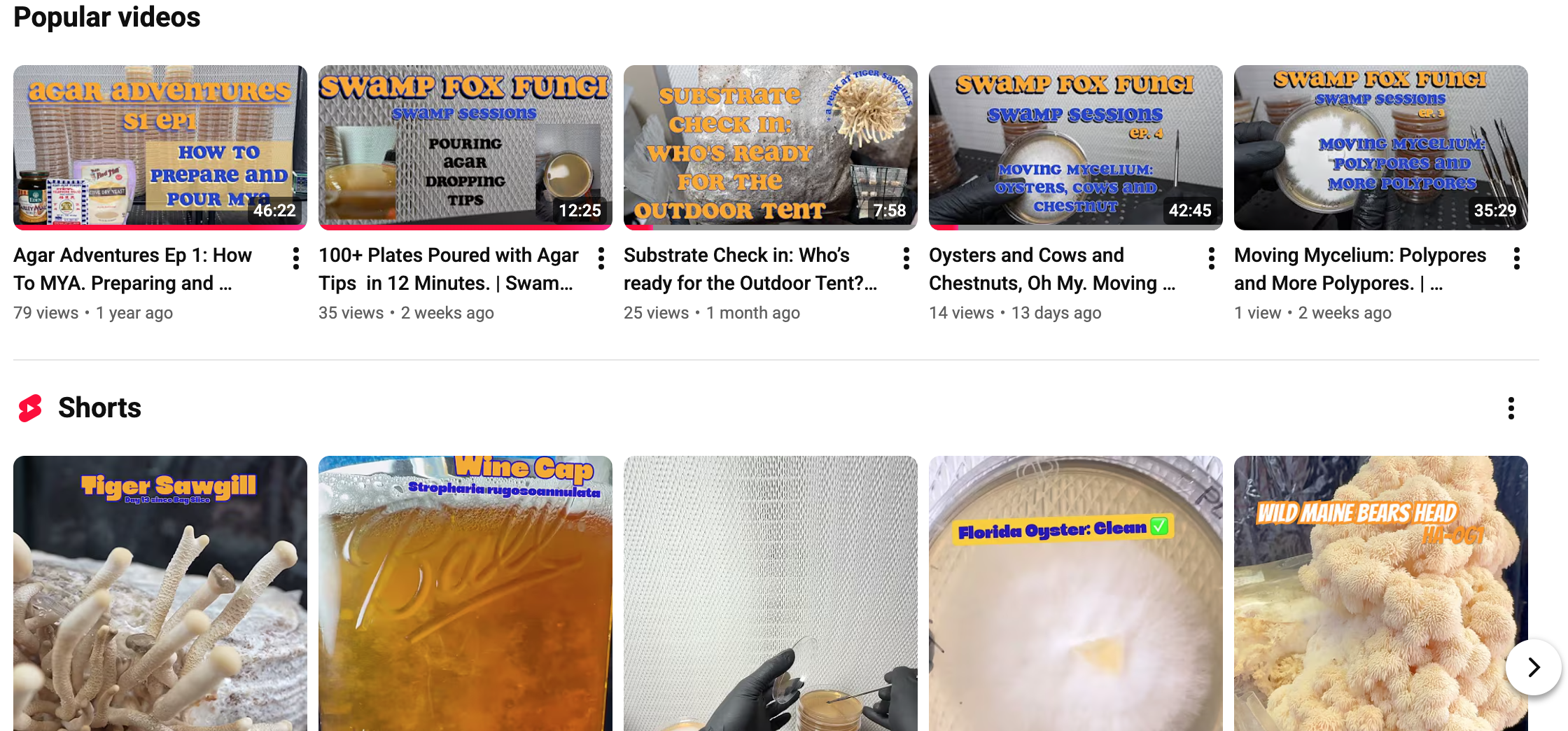 You have shared a screenshot of a YouTube video playlist page featuring videos about agar fungus cultivation, oyster and cow chestnut shells, and making mycelium and polypore fungi. The thumbnails show related objects like agar plates, fungi, and lab equipment.