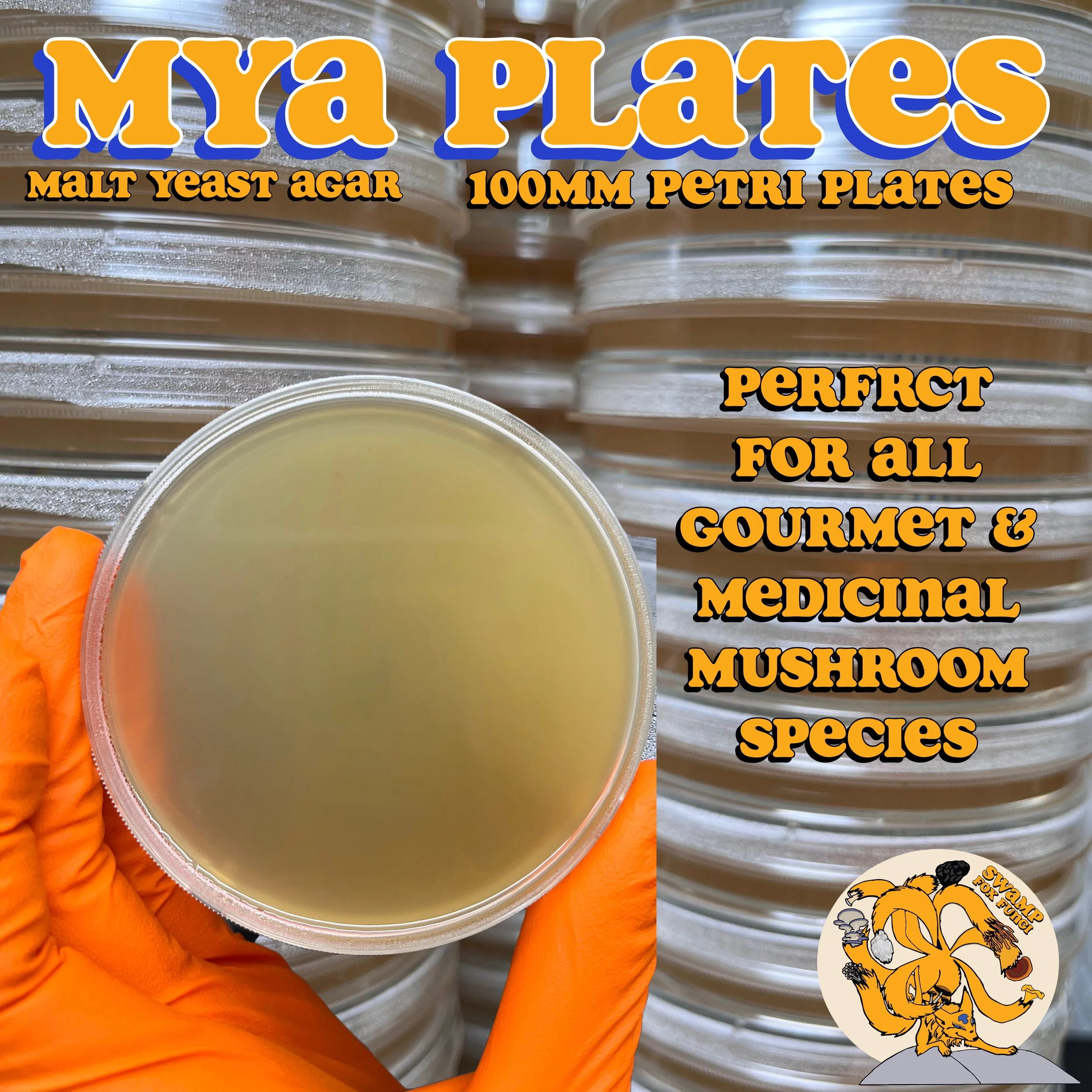 Pre-Poured Malt Yeast Agar (MYA) Dishes | Sterile, Consistent, Swamp Proven, Ready for All Cultivated Species