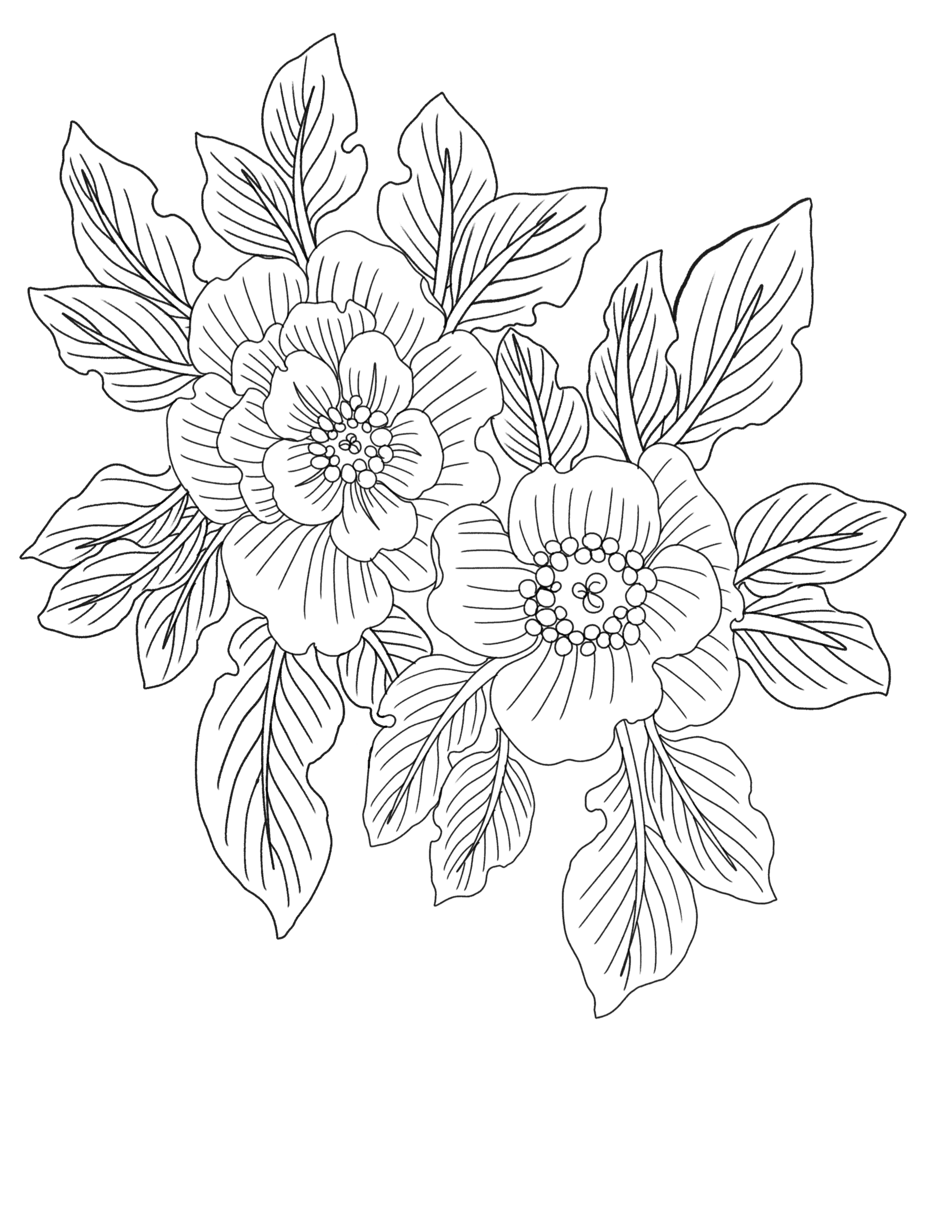 IMG_3741.png