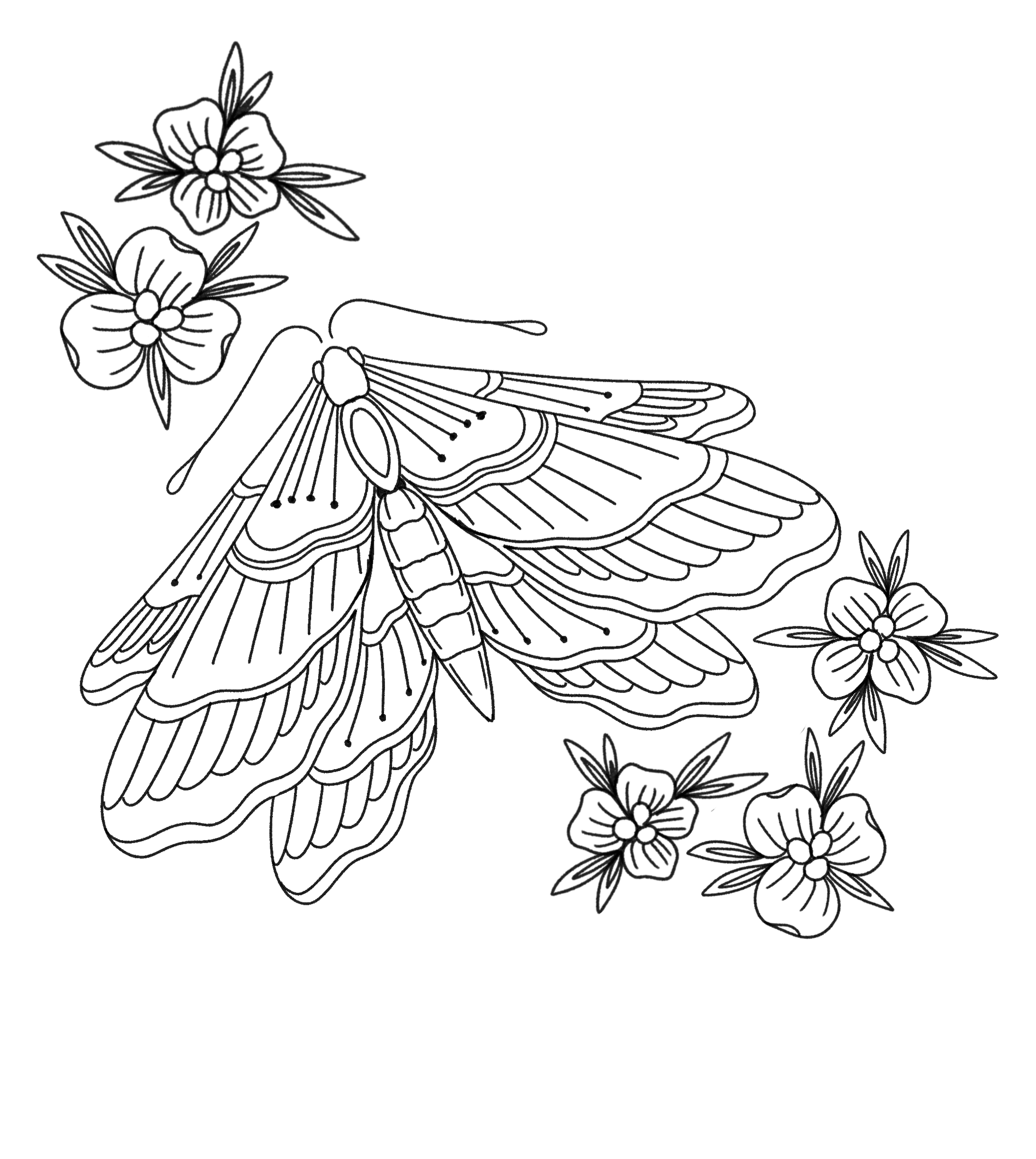 IMG_3740.png