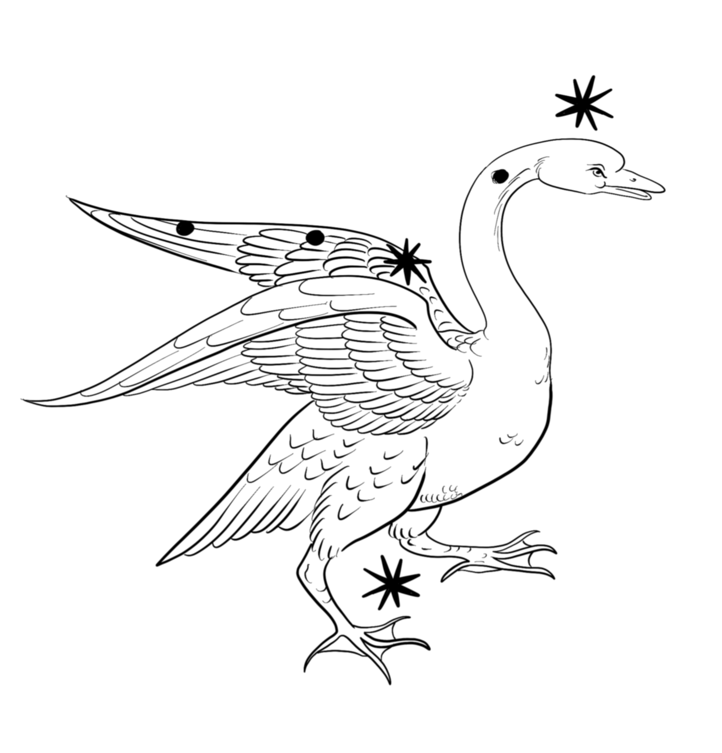 IMG_3744.png