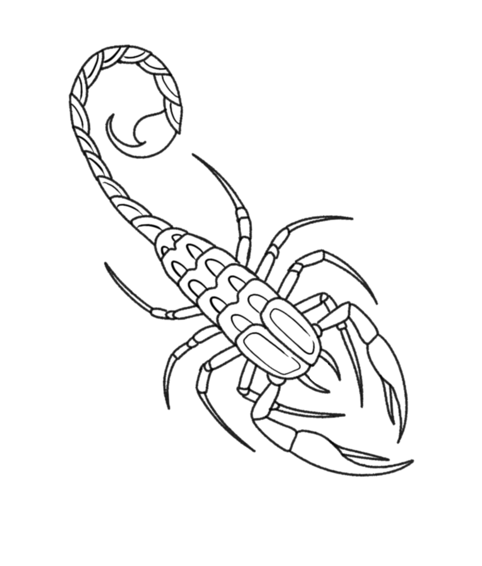 IMG_3755.png