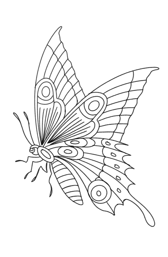 IMG_3755.png