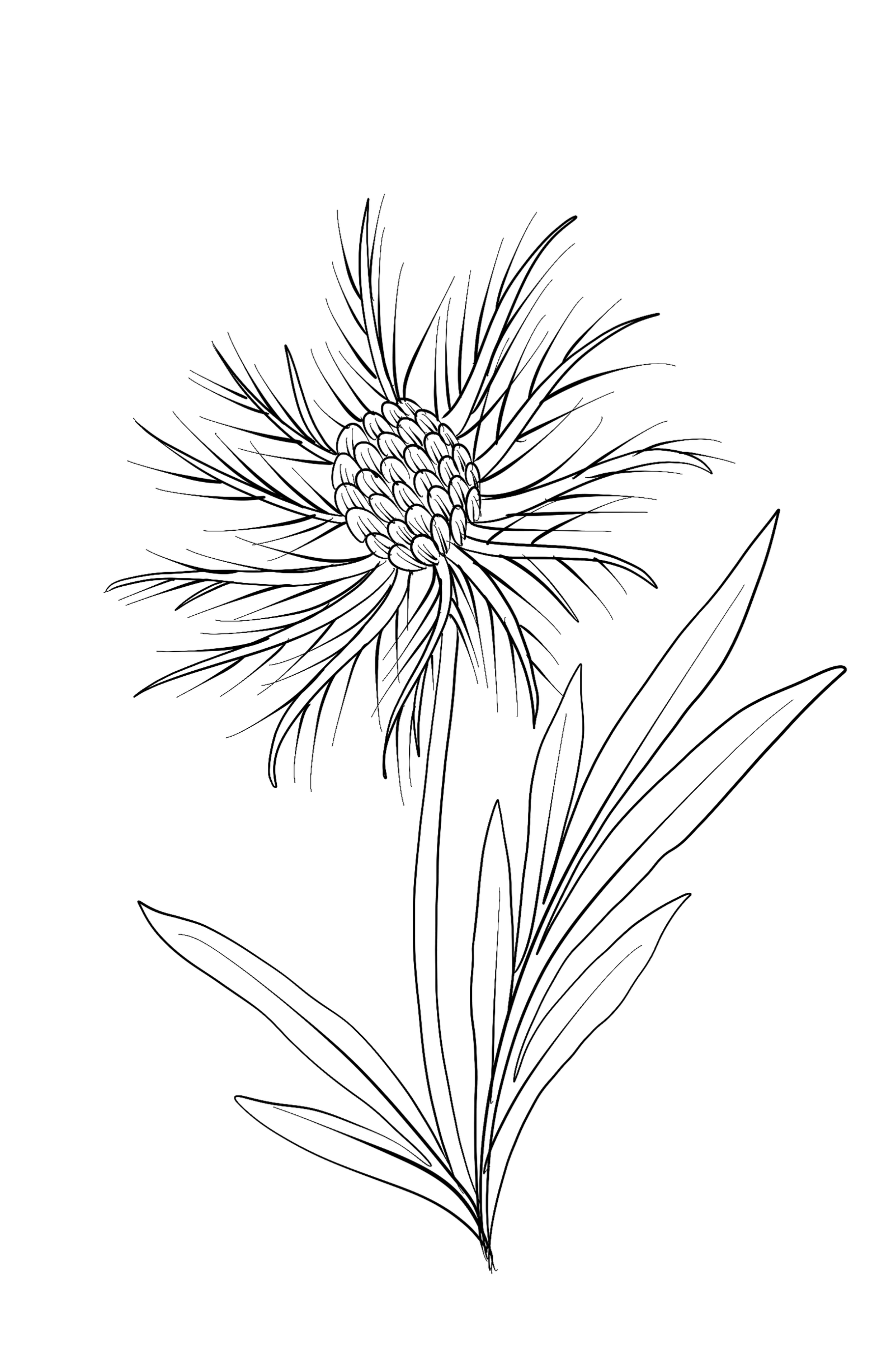 IMG_3788.png