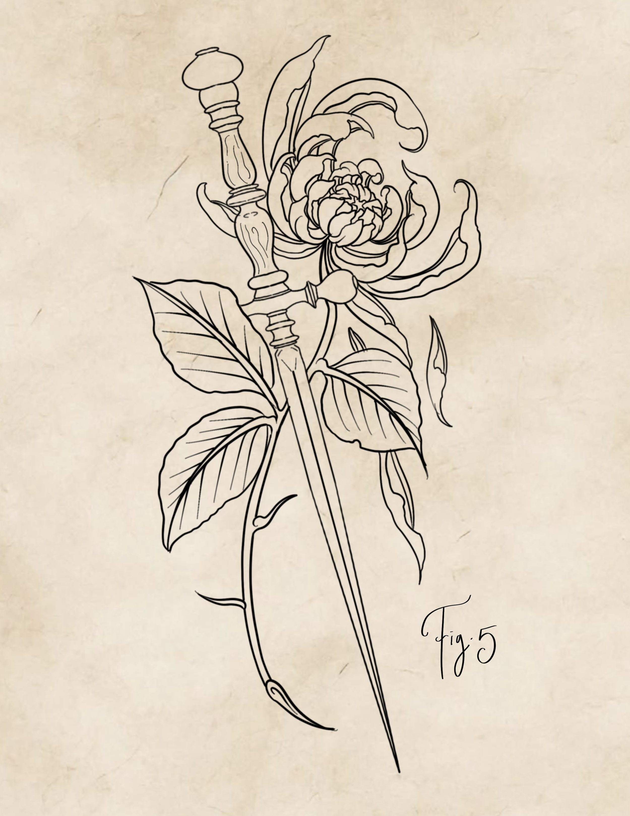 IMG_3870.png
