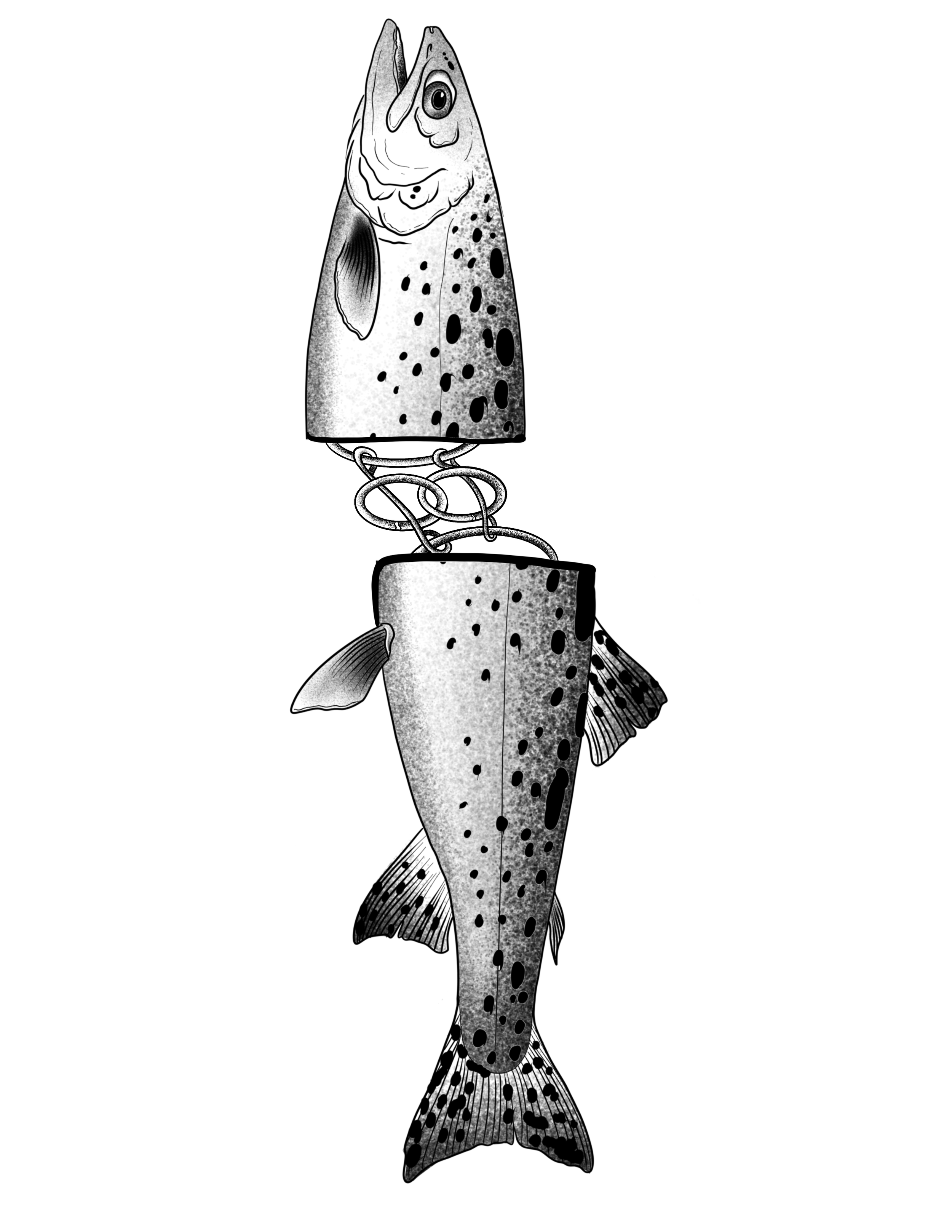 IMG_3742.png