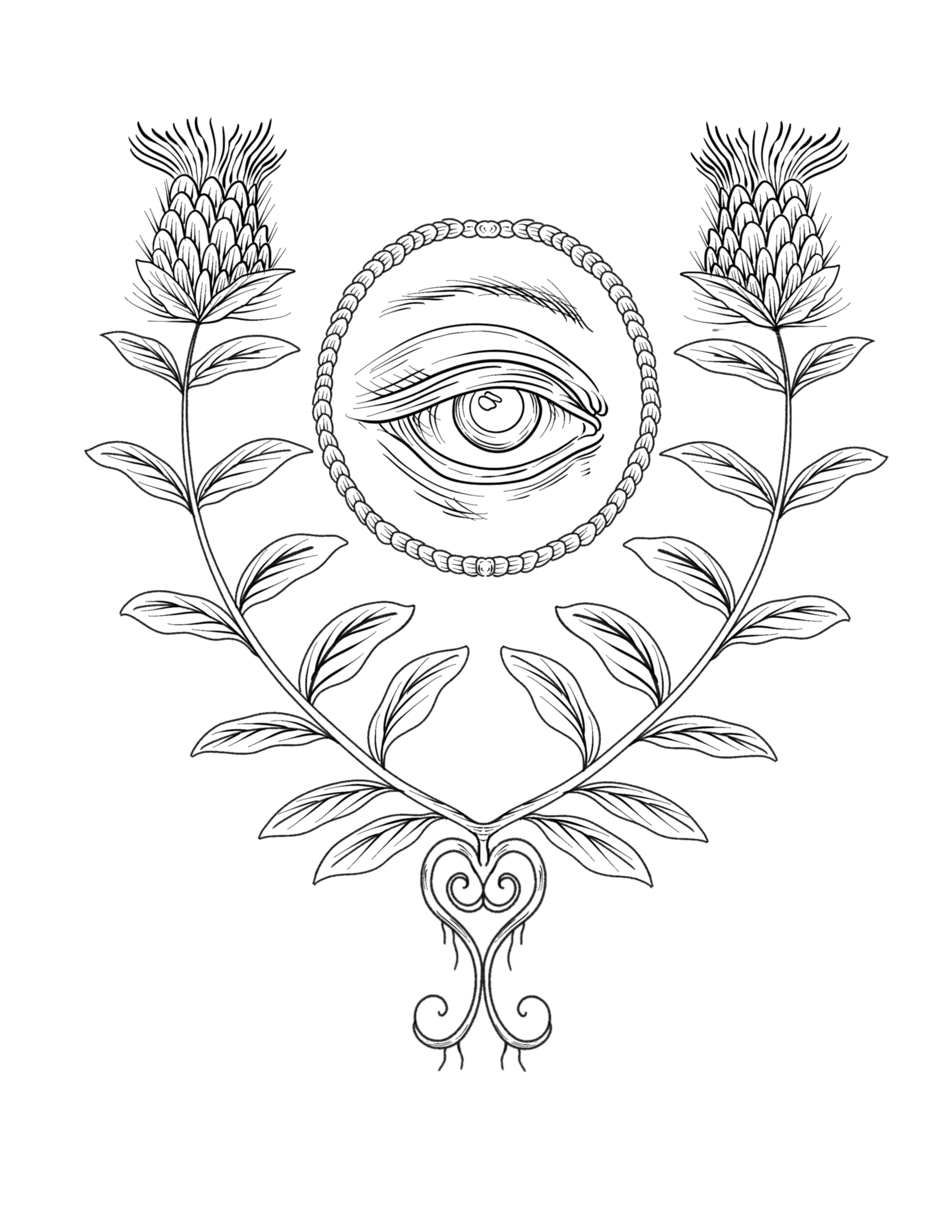 IMG_3737.png